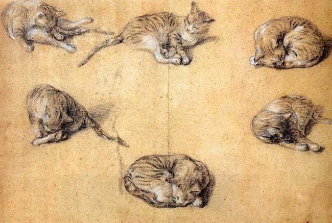 GAINSBOROUGH, Thomas Six studies of a cat China oil painting art